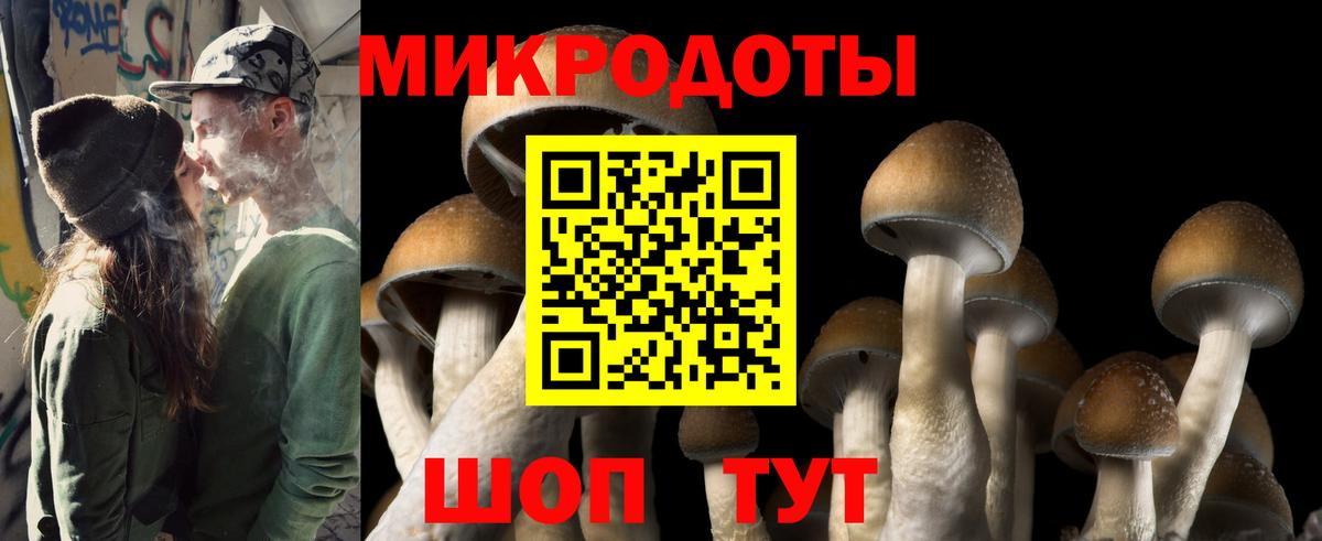 Псилоцибиновые грибы Psilocybine cubensis  даркнет сайт  Нягань  Псилоцибиновые грибы Psilocybine cubensis  Вход с VPN 